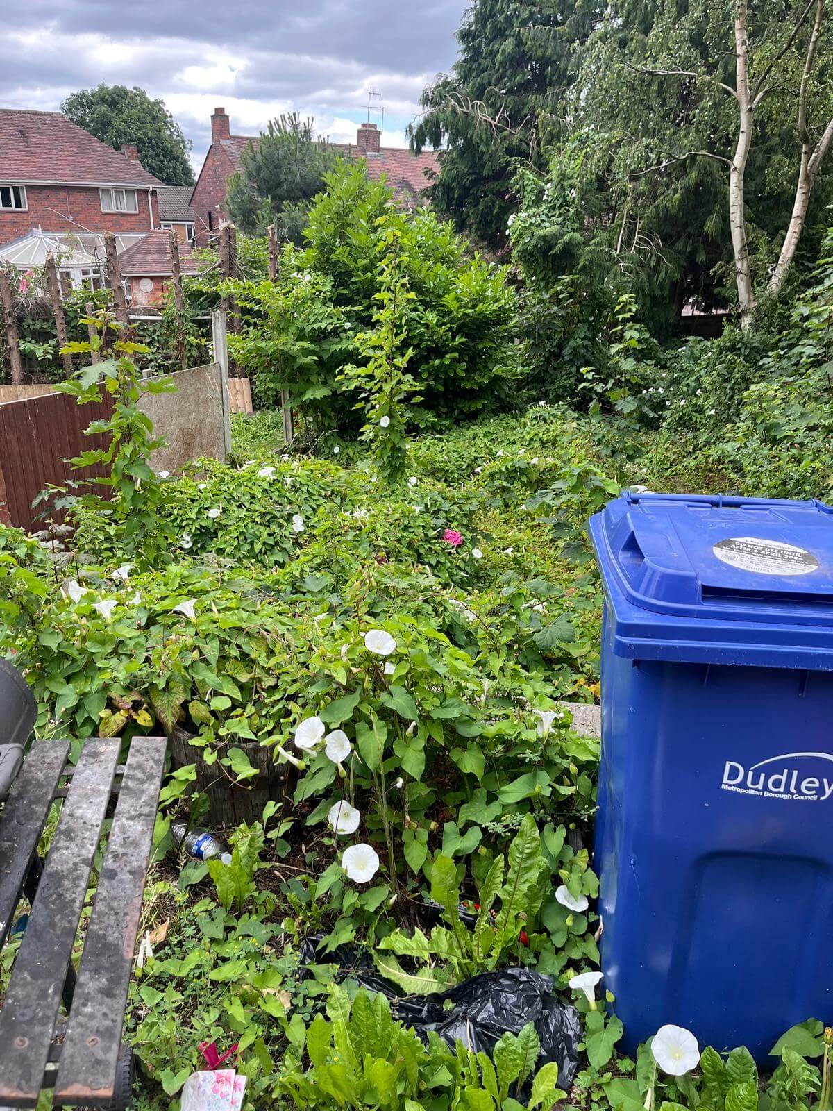 Reliable Cleaning and Removal Birmingham